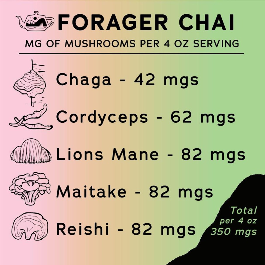 Teas Portal Tea | Forager Chai Concentrate - 32 Oz